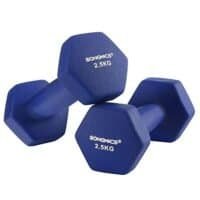 Blå neopren hantlar 2,5 kg för styrketräning och fitness.