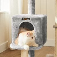 Cat Tree, Small Cat Condo 84 Cm, Katttorn, Ljusgrå 6 Cat Tree, Small Cat Condo 84 Cm, Katttorn, Ljusgrå - Bild 6