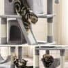 Ljusgrått kattträd med katthålor och hängmatta för inomhusbruk.