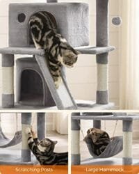 Cat Tree, Cat Condo med 2 Katthålor, 155 Cm, Ljusgrå 6 Cat Tree, Cat Condo med 2 Katthålor, 155 Cm, Ljusgrå - Bild 6