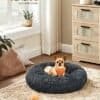 Mysig mörkgrå hundsäng i donutform med hund som sitter i den.