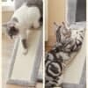 Ljusgrå katttrappa med två katter som leker och utforskar.