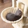 Katt som vilar i ett beige kattträd med flera nivåer och katthålor.