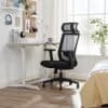 Ergonomisk svart kontorsstol med mesh ryggstöd och justerbar höjd.