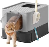 kattsandlåda