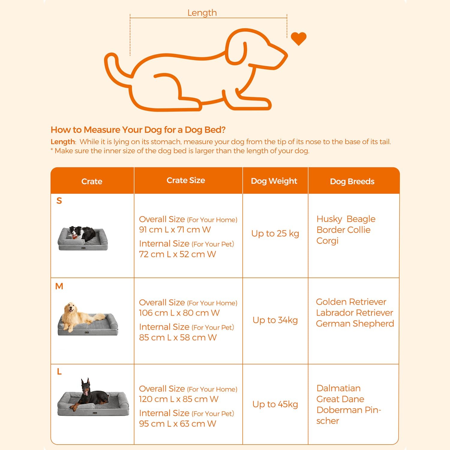 FEANDREA Hundsäng Ortopedisk soffa Tvättbar halkfri grå 5 FEANDREA Hundsäng Ortopedisk soffa Tvättbar halkfri grå - Bild 5