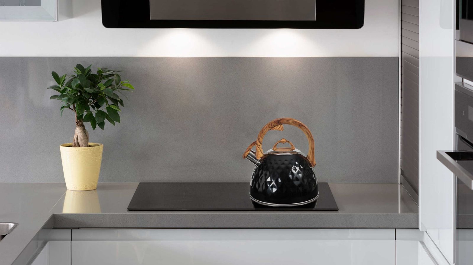 Promis TMC14BD Marco Kettle 2.8 L 2 Promis TMC14BD Marco Kettle 2.8 L - Bild 2