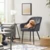 Mjuk svart fåtölj med hund sittande i ett modernt vardagsrum.