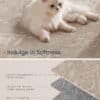 Katt ligger på en mjuk, beige matta med text om material och funktioner.