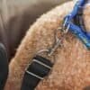 Hundsele för små hundar med säkerhetskrok och justerbar rem.
