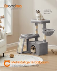 Kattträd