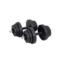 SONGMICS 2-in-1 Dumbbells Set, 2 x 10 kg Adjustable Dumbbells with Extra Barbell Bar, Plastic-Coated Weight Plates, Fitness Exercise, Home Gym, Black SYL20HBK