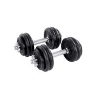 SONGMICS 2-in-1 Dumbbells Set, 2 x 15 kg Cast Iron Adjustable Weights, with Extra Steel Barbell Bar, Fitness Training, Weight Lifting, at Home Gym, Black SYL30LBK