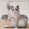 Feandrea PP Plastic, Stainless Steel Litter Box, Open Top Cat Litter Tray with Scoop - Bild 6